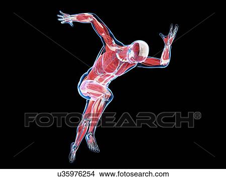 Stock Illustration - Sprinter, artwork. Fotosearch