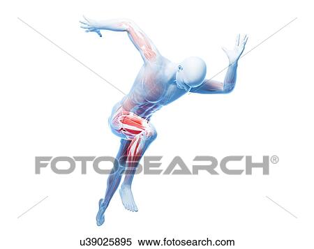 Sprinter, artwork View Large Illustration Stock Illustration - Sprinter, artwork. Fotosearch