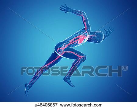 Sprinter, artwork View Large Illustration Stock Illustration - Sprinter, artwork. Fotosearch