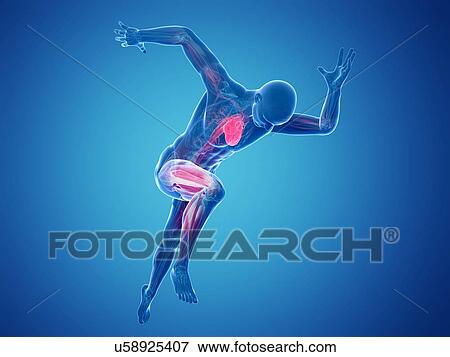 Sprinter, artwork View Large Illustration Stock Illustration - Sprinter, artwork. Fotosearch