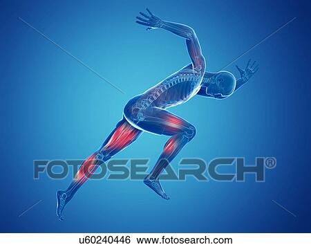 Sprinter, artwork View Large Illustration Stock Illustration - Sprinter, artwork. Fotosearch