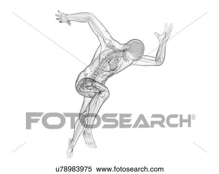 Sprinter, artwork View Large Illustration Stock Illustration - Sprinter, artwork. Fotosearch