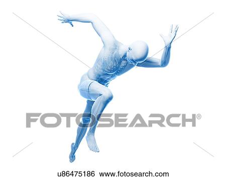Sprinter, artwork View Large Illustration Stock Illustration - Sprinter, artwork. Fotosearch