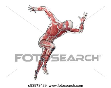 Stock Illustration - Sprinter, artwork. Fotosearch