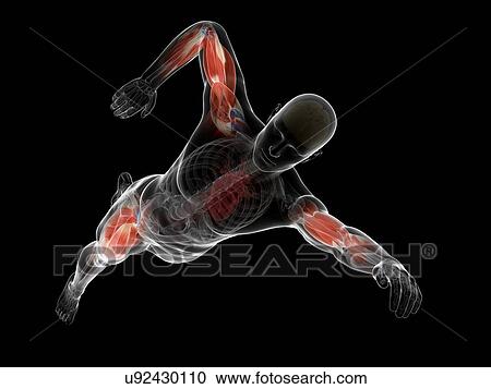 Swimmer, artwork View Large Illustration Clipart - Swimmer, artwork. Fotosearch
