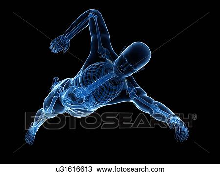 Swimmer, artwork View Large Illustration Drawing - Swimmer, artwork. Fotosearch