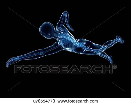 Drawing - Swimmer, artwork. Fotosearch