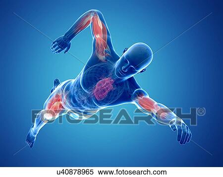 Swimmer, artwork View Large Illustration Stock Illustration - Swimmer, artwork. Fotosearch