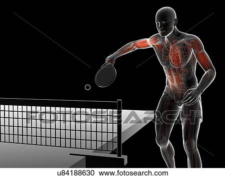 Clipart - Table tennis player, artwork. Fotosearch