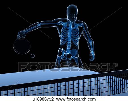 Table tennis player, artwork View Large Illustration Drawing - Table tennis player, artwork. Fotosearch