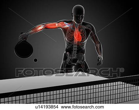 Stock Illustration - Table tennis player, artwork. Fotosearch