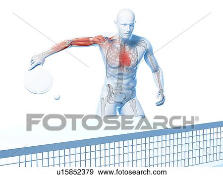 Table tennis player, artwork View Large Illustration Stock Illustration - Table tennis player, artwork. Fotosearch