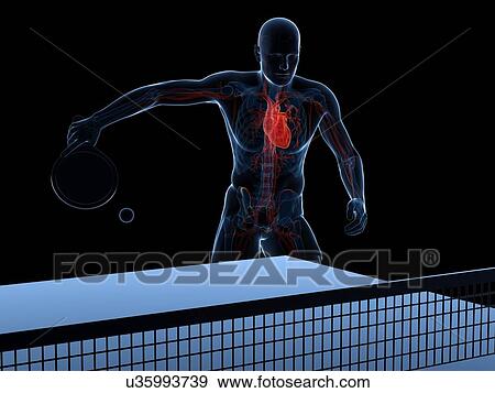 Table tennis player, artwork View Large Illustration Stock Illustration - Table tennis player, artwork. Fotosearch