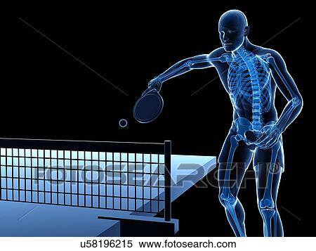 Stock Illustration - Table tennis player, artwork. Fotosearch