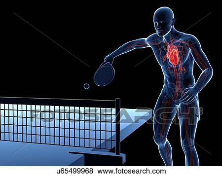 Table tennis player, artwork View Large Illustration Stock Illustration - Table tennis player, artwork. Fotosearch