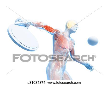 Stock Illustration - Table tennis player, artwork. Fotosearch