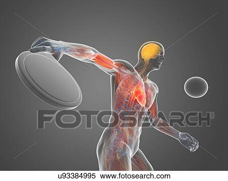 Table tennis player, artwork View Large Illustration Stock Illustration - Table tennis player, artwork. Fotosearch