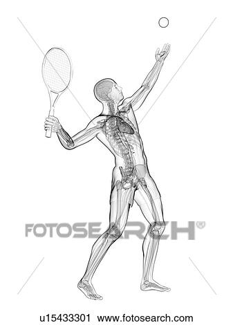 Clip Art - Tennis player, artwork. Fotosearch
