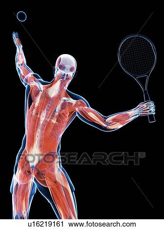 Tennis player, artwork View Large Illustration Clip Art - Tennis player, artwork. Fotosearch