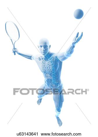Clip Art - Tennis player, artwork. Fotosearch