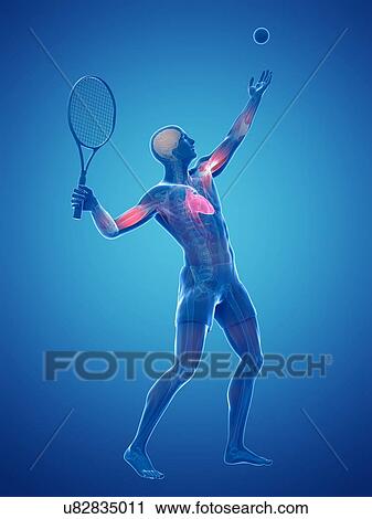 Clip Art - Tennis player, artwork. Fotosearch