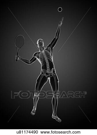 Clipart - Tennis player, artwork. Fotosearch