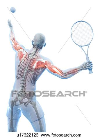 Drawing - Tennis player, artwork. Fotosearch
