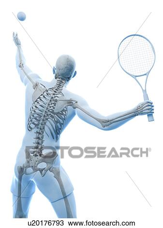 Tennis player, artwork View Large Illustration Drawing - Tennis player, artwork. Fotosearch
