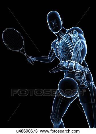 Tennis player, artwork View Large Illustration Drawing - Tennis player, artwork. Fotosearch