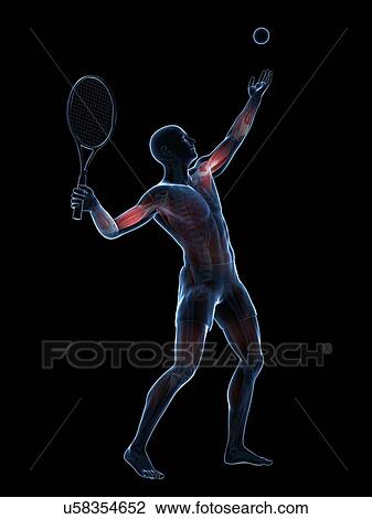 Tennis player, artwork View Large Illustration Drawing - Tennis player, artwork. Fotosearch