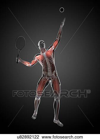 Tennis player, artwork View Large Illustration Drawing - Tennis player, artwork. Fotosearch