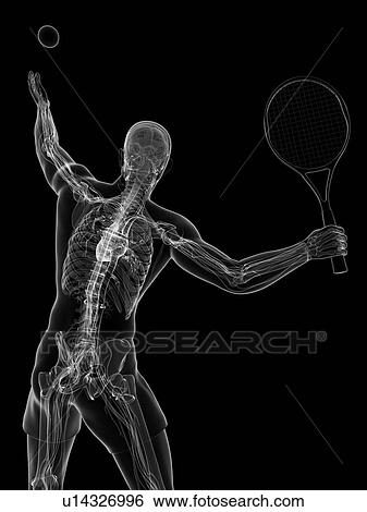 Stock Illustration - Tennis player, artwork. Fotosearch