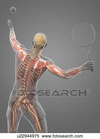 Stock Illustration - Tennis player, artwork. Fotosearch