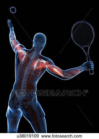 Stock Illustration - Tennis player, artwork. Fotosearch