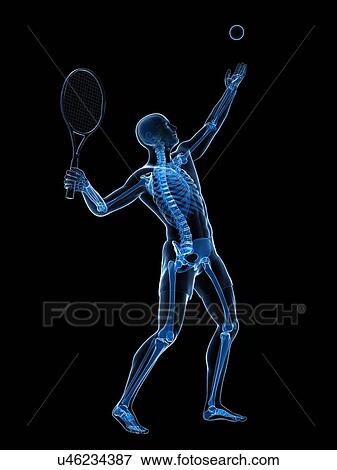 Tennis player, artwork View Large Illustration Stock Illustration - Tennis player, artwork. Fotosearch