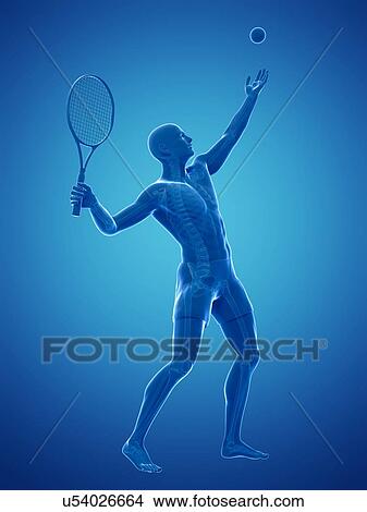 Tennis player, artwork View Large Illustration Stock Illustration - Tennis player, artwork. Fotosearch
