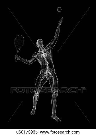 Tennis player, artwork View Large Illustration Stock Illustration - Tennis player, artwork. Fotosearch