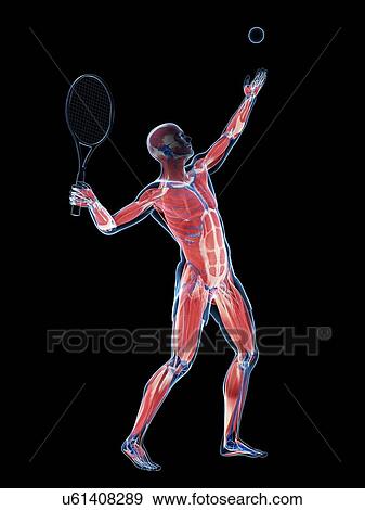 Tennis player, artwork View Large Illustration Stock Illustration - Tennis player, artwork. Fotosearch