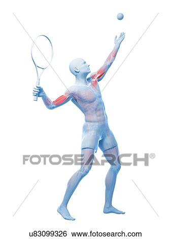 Stock Illustration - Tennis player, artwork. Fotosearch