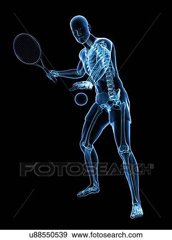 Stock Illustration - Tennis player, artwork. Fotosearch