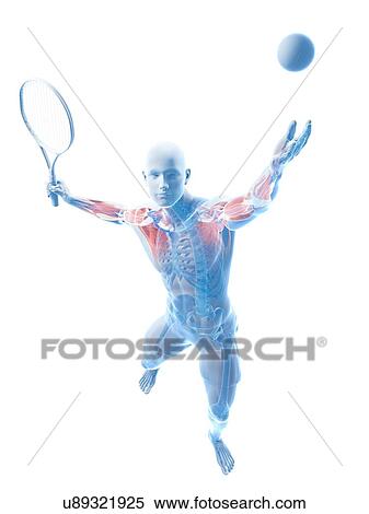 Tennis player, artwork View Large Illustration Stock Illustration - Tennis player, artwork. Fotosearch