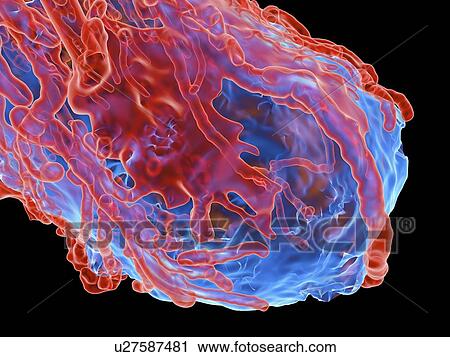 Tumour, computer artwork View Large Illustration Clip Art - Tumour, computer artwork. Fotosearch