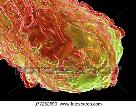 Clipart - Tumour, computer artwork. Fotosearch