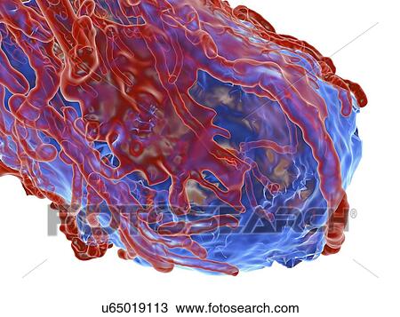 Tumour, computer artwork View Large Illustration Drawing - Tumour, computer artwork. Fotosearch