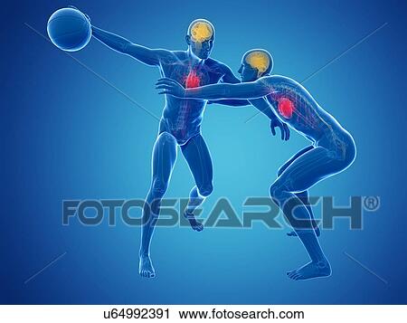 Two basketball players, artwork View Large Illustration Clip Art - Two basketball players, artwork. Fotosearch