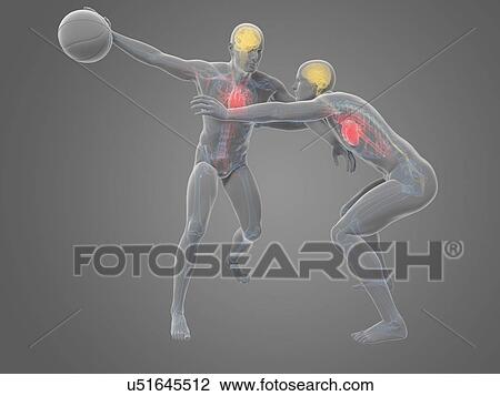 Two basketball players, artwork View Large Illustration Drawing - Two basketball players, artwork. Fotosearch