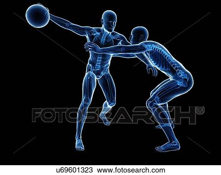 Two basketball players, artwork View Large Illustration Drawing - Two basketball players, artwork. Fotosearch