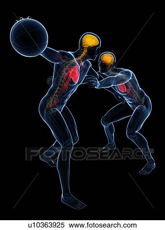 Stock Illustration - Two basketball players, artwork. Fotosearch