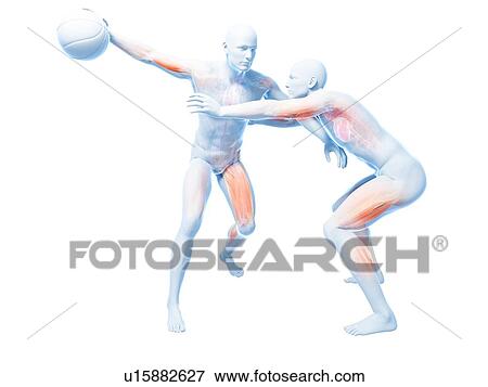 Two basketball players, artwork View Large Illustration Stock Illustration - Two basketball players, artwork. Fotosearch