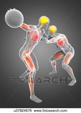 Stock Illustration - Two basketball players, artwork. Fotosearch